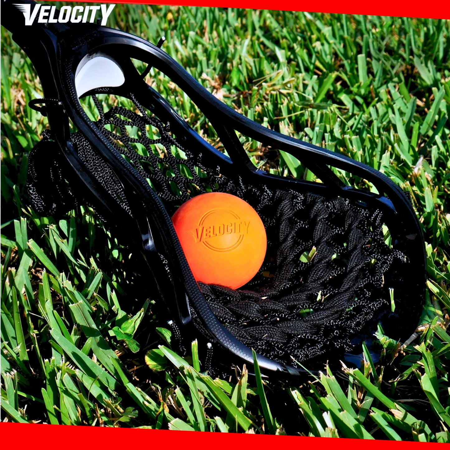 Velocity Practice Lacrosse Balls - 1, 2, 3, 6, 12, 18, 24, 36, 60 and 120 Packs - Official Size and Weight - Pink