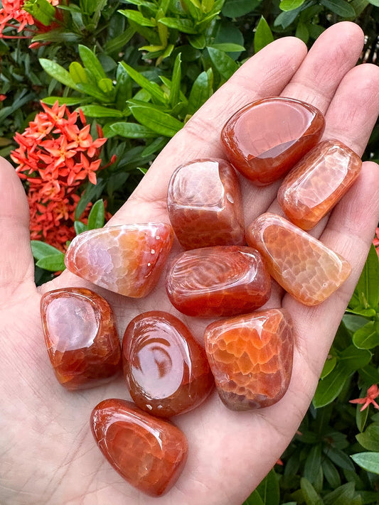 GAF TREASURES 5 Pcs Fire Agate Tumbled Stones, Polished Fire Agate Gemstone, Fire Agate Healing Crystals