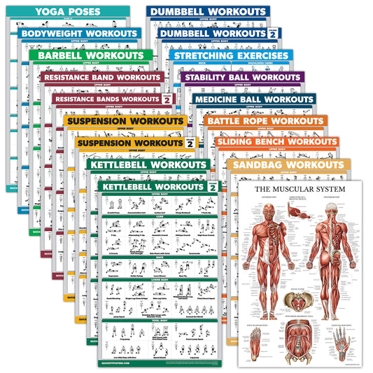 18 Pack - Exercise Poster Set, Dumbbell, Suspension, Kettlebell, Resistance Bands, Stretching, Bodyweight, Barbell, Battle Rope, Yoga, Exercise Ball, Muscular and More (LAMINATED, 18" x 24")