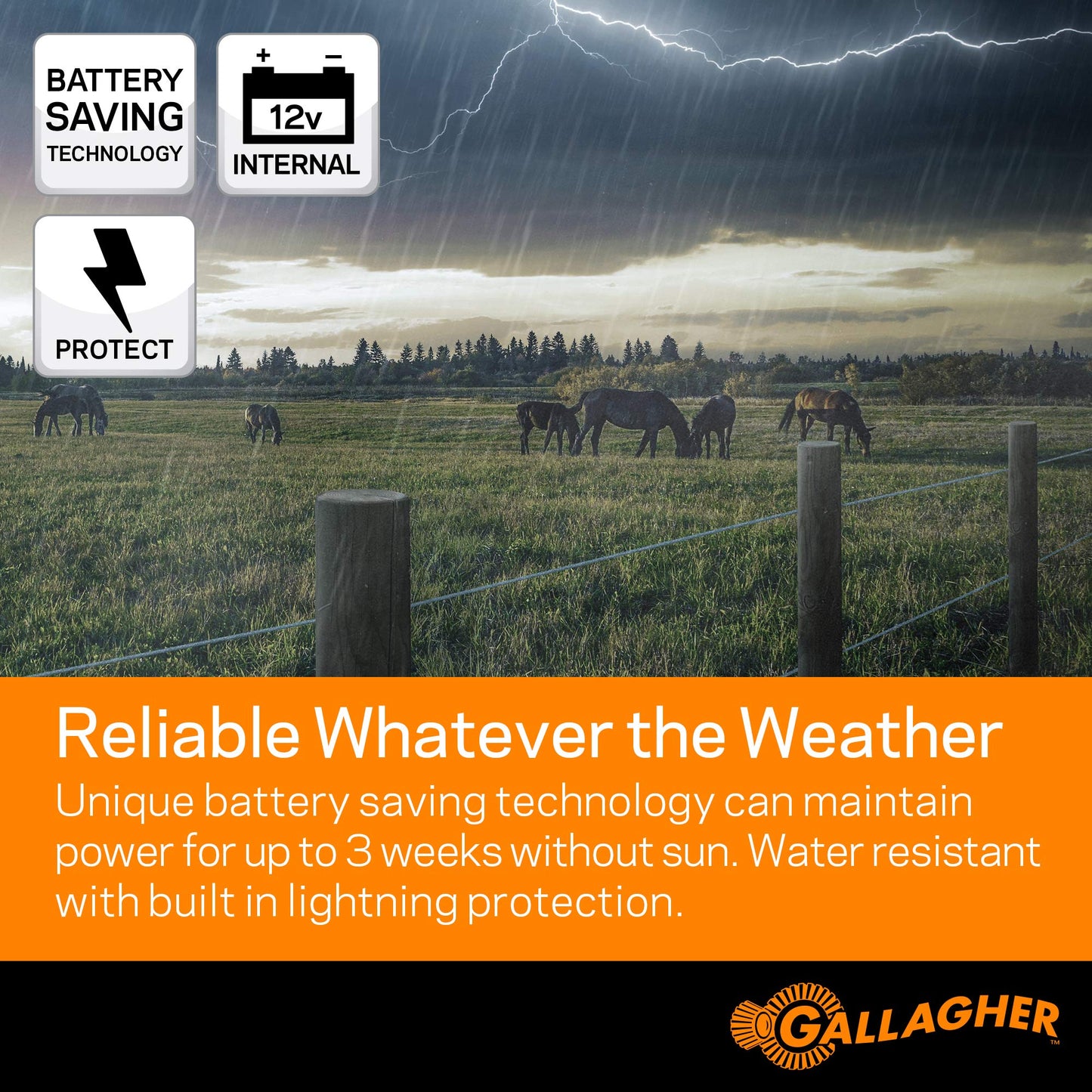 Gallagher S100 Solar Electric Fence Charger | Powers Up to 30 Mile / 100 Acres of Fence | Low Impedance, 1.0 Stored Joule Energizer | Battery Saving Technology | Solar Battery & Leadsets Included