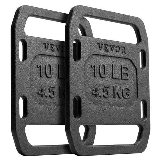VEVOR Cast Iron Weights, 10LB Pair Weighted Weights with Straps, Adjustable Plate for Swings, Squat, Strength Training, Weightlifting, Fitness Workout