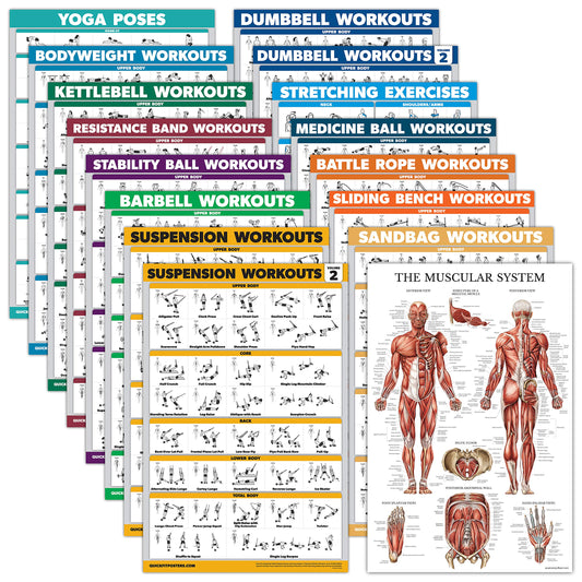 16 Pack - Exercise Poster Set, Dumbbell, Suspension, Kettlebell, Resistance Bands, Medicine Ball, Battle Rope, Stretching, Bodyweight, Barbell, Yoga, Exercise Ball, Muscular (LAMINATED, 18" x 24")