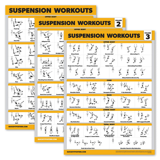 Palace Learning 3 Pack Suspension Workout Posters - Volume 1, 2 & 3 - Exercise Charts (LAMINATED, 18" x 24")