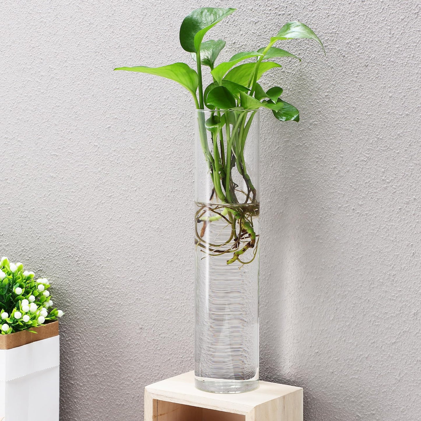 Balacoo Wall Hanging Glass Cylinder Vases for Plant Propagation, Hydroponic Holders, 2pcs Large Tube Glass Terrarium Holders for Home and Office Décor