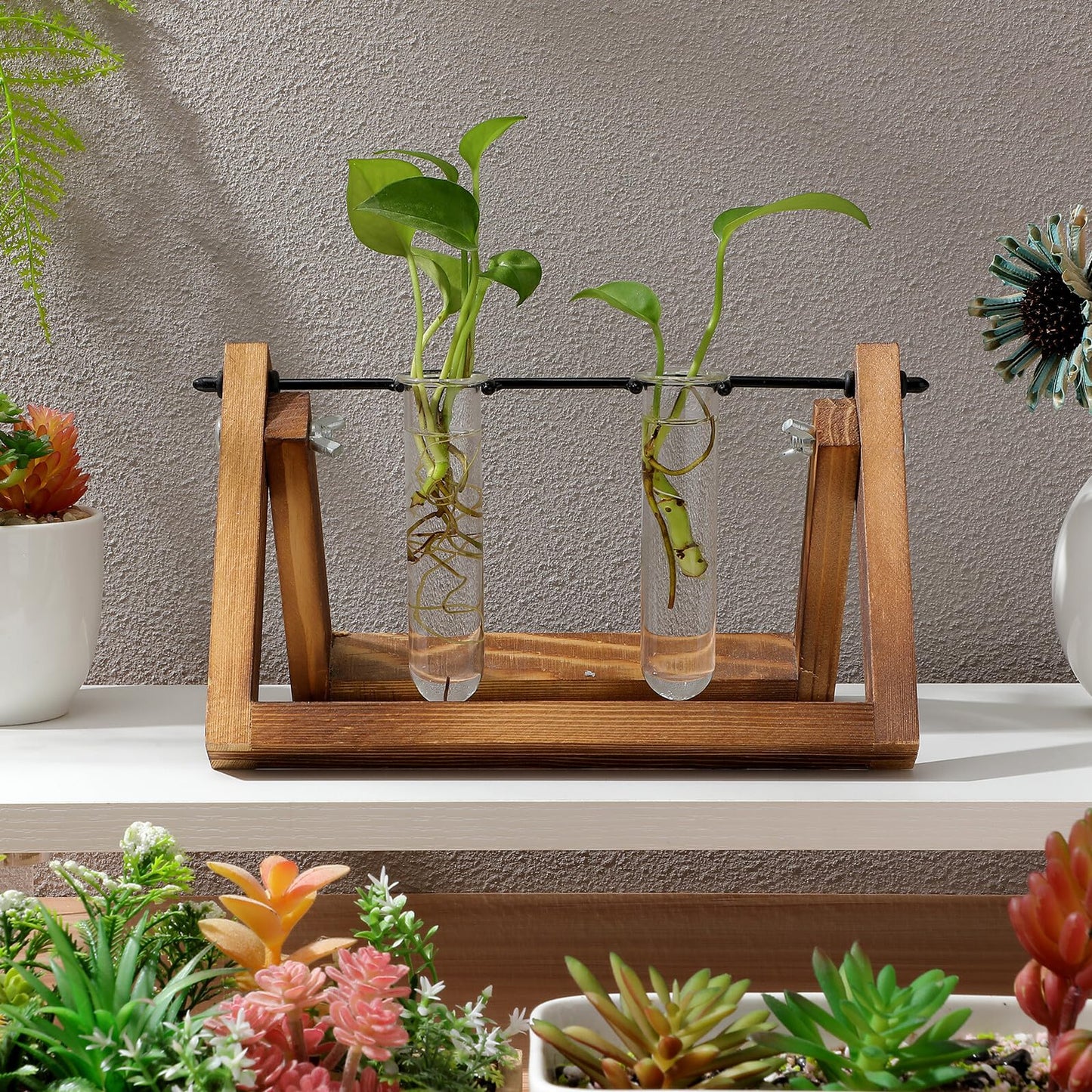 Healifty 5pcs Glass Test Tube Propagation Station for Desk Plant Hydroponics, Small Terrarium Vase Set 2.5x3x11cm, Convenient Hydroponic Plant Propagation Tubes