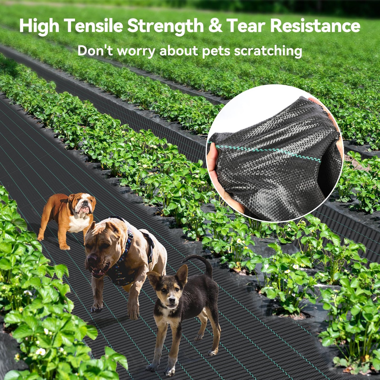iropro 3ftx300ft Weed Barrier Fabric 3.2oz Landscape Fabric Heavy Duty, Woven Weed Control Cloth, Woven Weed Fabric for Underlayment, Gardening Ground, Commercial Driveway Weed Block Cover Mat