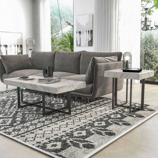 Furniture of America Willy Modern Storage Faux Marble Top 2-Piece Coffee and End Table Set for Living Room, Gray